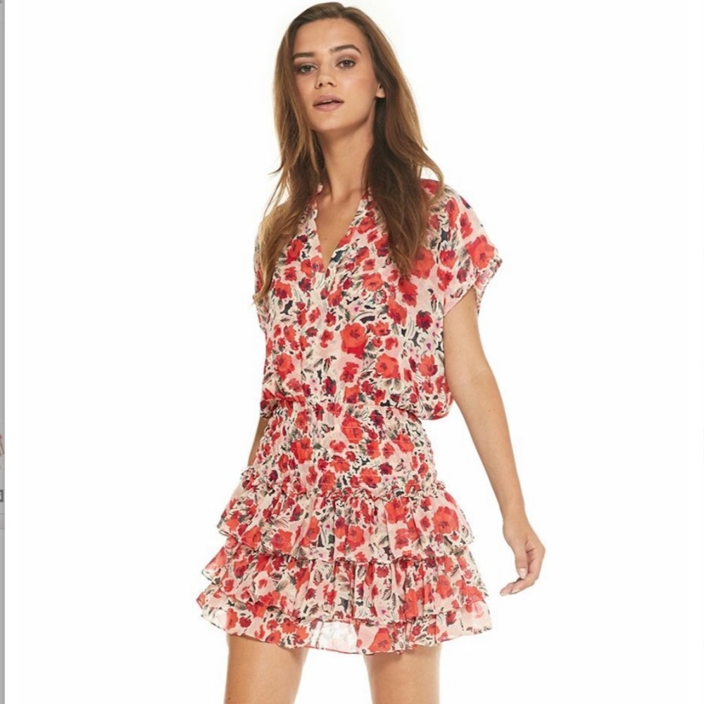 MISA Los Angeles Eloisa Dress - Picture 1 of 10
